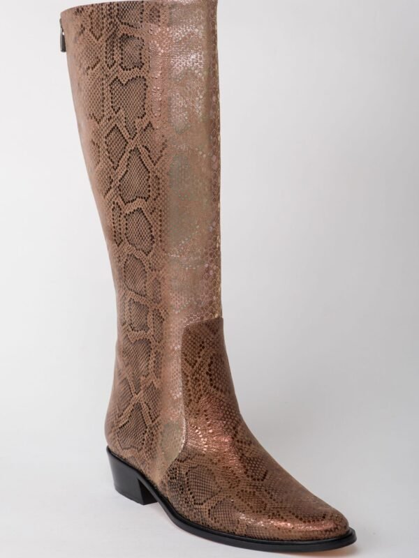 Snake Skin Brown Pointed Toes Flat Boots 2